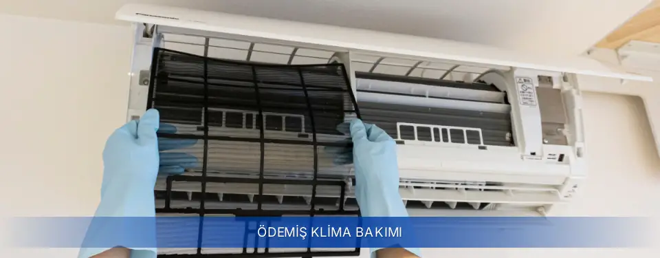 Ödemiş İlçemi Baymak Klima Bakımı