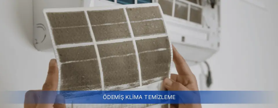 Ödemiş İlçemi Baymak Klima Temizleme